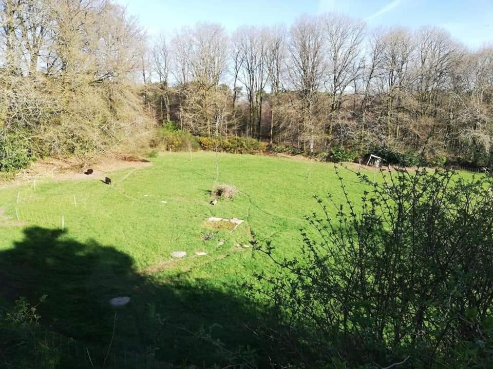 Hotel MANOIR DU TERTRE au coeur de la forêt de Brocéliande Paimpont Esterno foto