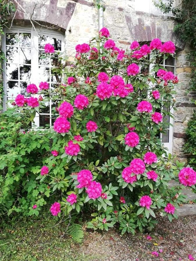 Hotel MANOIR DU TERTRE au coeur de la forêt de Brocéliande Paimpont Esterno foto