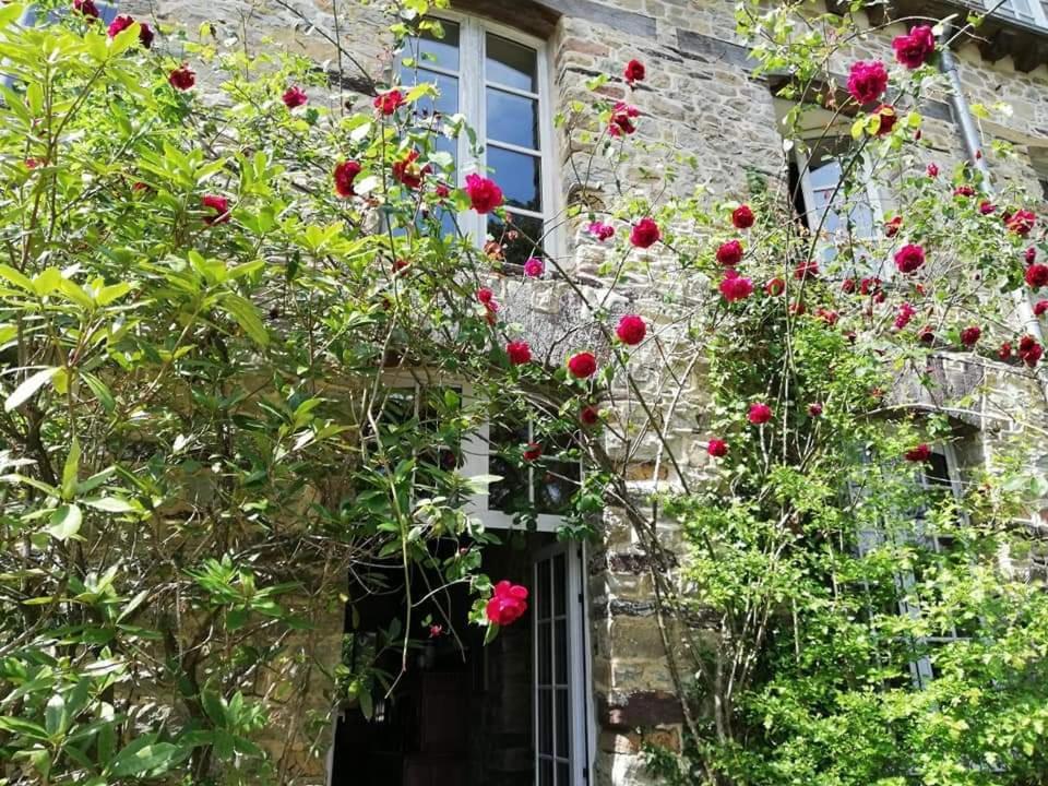 Hotel MANOIR DU TERTRE au coeur de la forêt de Brocéliande Paimpont Esterno foto