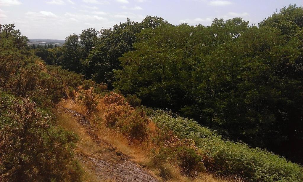 Hotel MANOIR DU TERTRE au coeur de la forêt de Brocéliande Paimpont Esterno foto