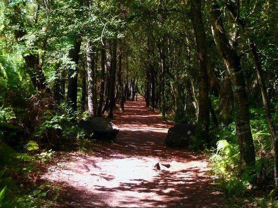 Hotel MANOIR DU TERTRE au coeur de la forêt de Brocéliande Paimpont Esterno foto